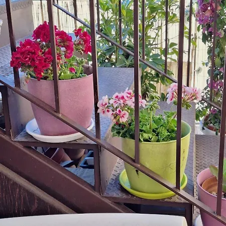 Sogni D'oro Couette-café